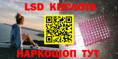 шишки Новокубанск