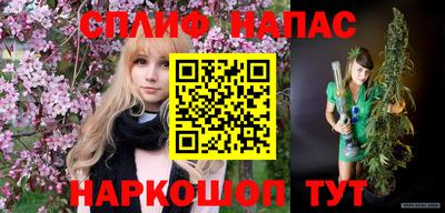 шишки Новокубанск