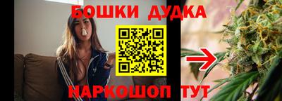 гидропоника Новозыбков